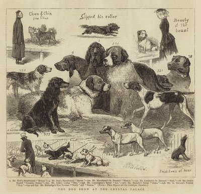 The Dog Show at the Crystal Palace by John Charles Dollman